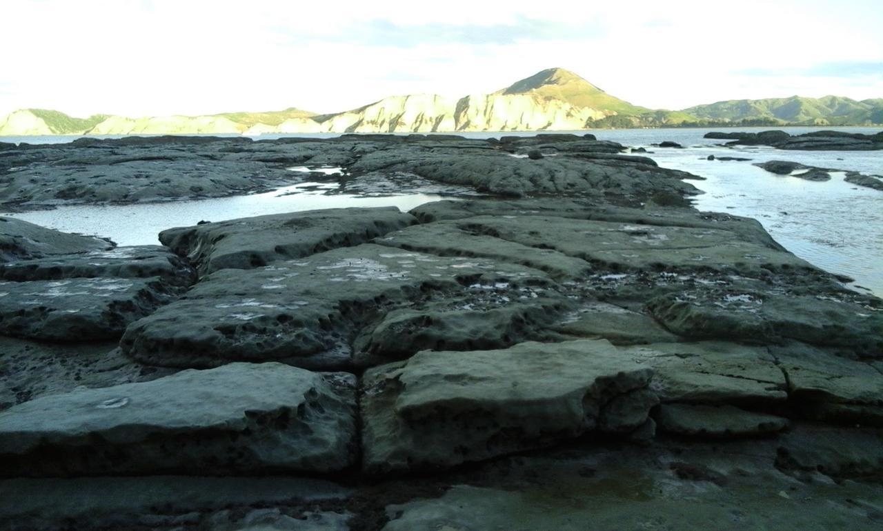 Tolaga Bay Inn エクステリア 写真